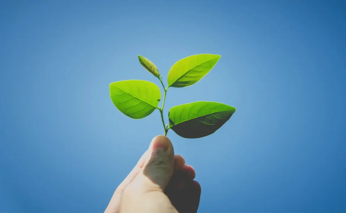 Nuovi standard di ecosostenibilità per le lavanderie professionali