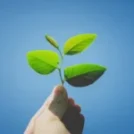 Nuovi standard di ecosostenibilità per le lavanderie professionali